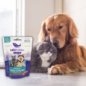 CBD For Pets